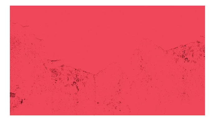 Bloomdesign_Olympics